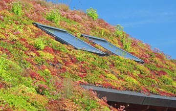 Hinton In The Hedges living roof systems