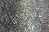 Hinton In The Hedges fibreglass roof work